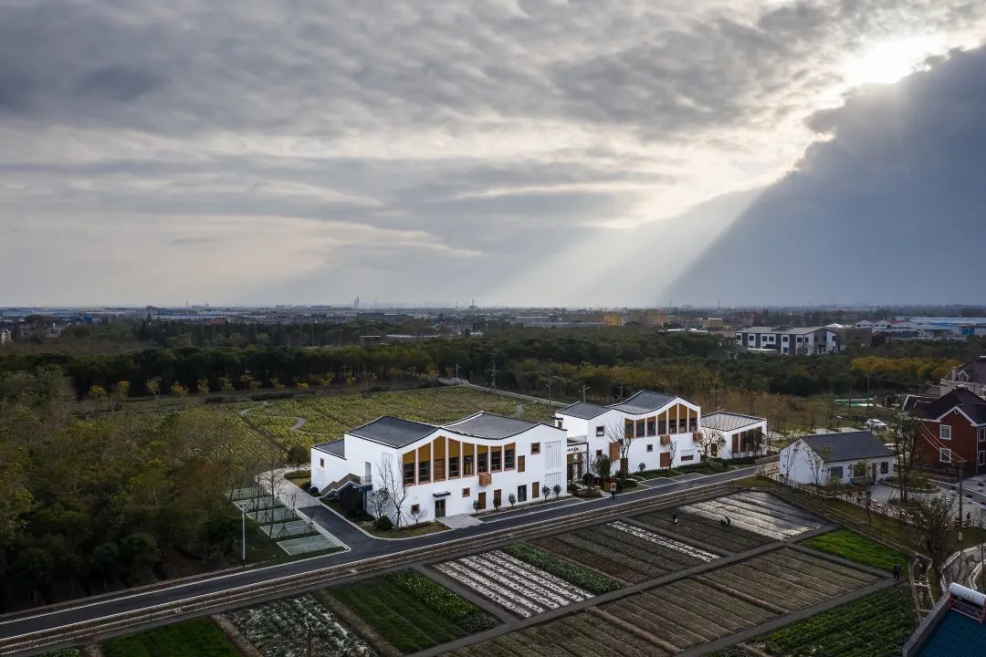 塘湾双创中心丨中国上海丨同济大学建筑设计研究院（集团）有限公司-5