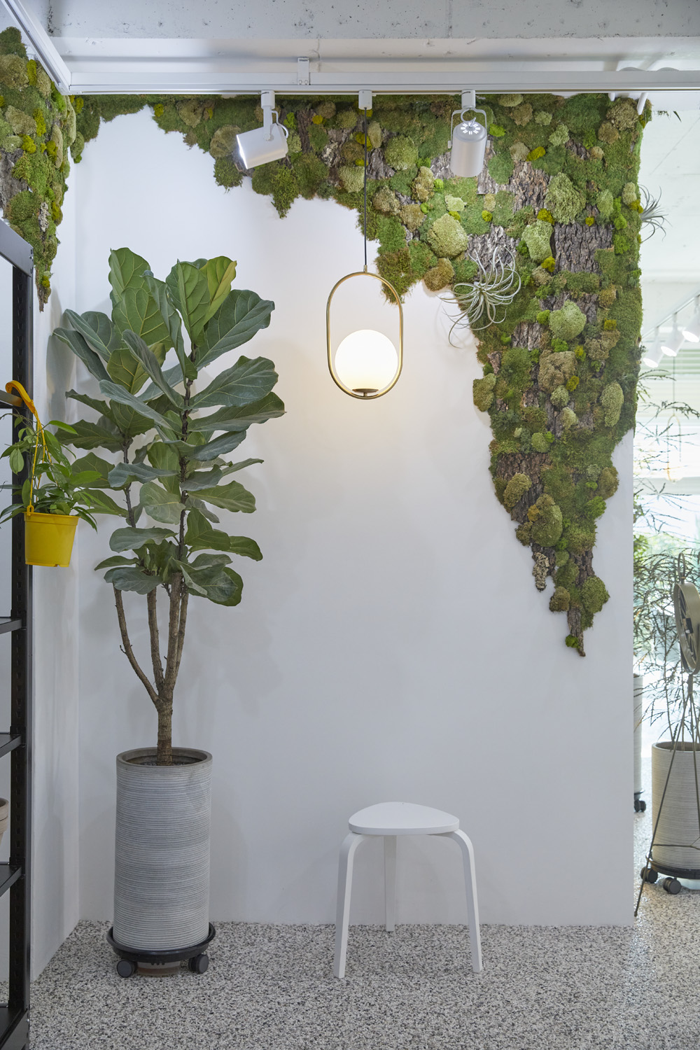 现代植物咖啡厅，30 平米空间里的绿色美学-18