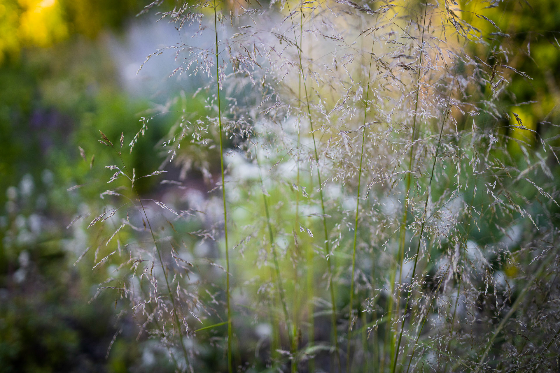 TUREK · ogród z ryską（有风险的花园 · 图雷克）-22