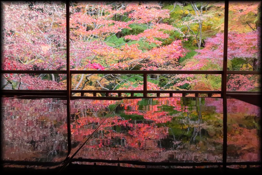 瑠璃光院（旧高级旅馆「喜鶴亭」）丨日本京都-34