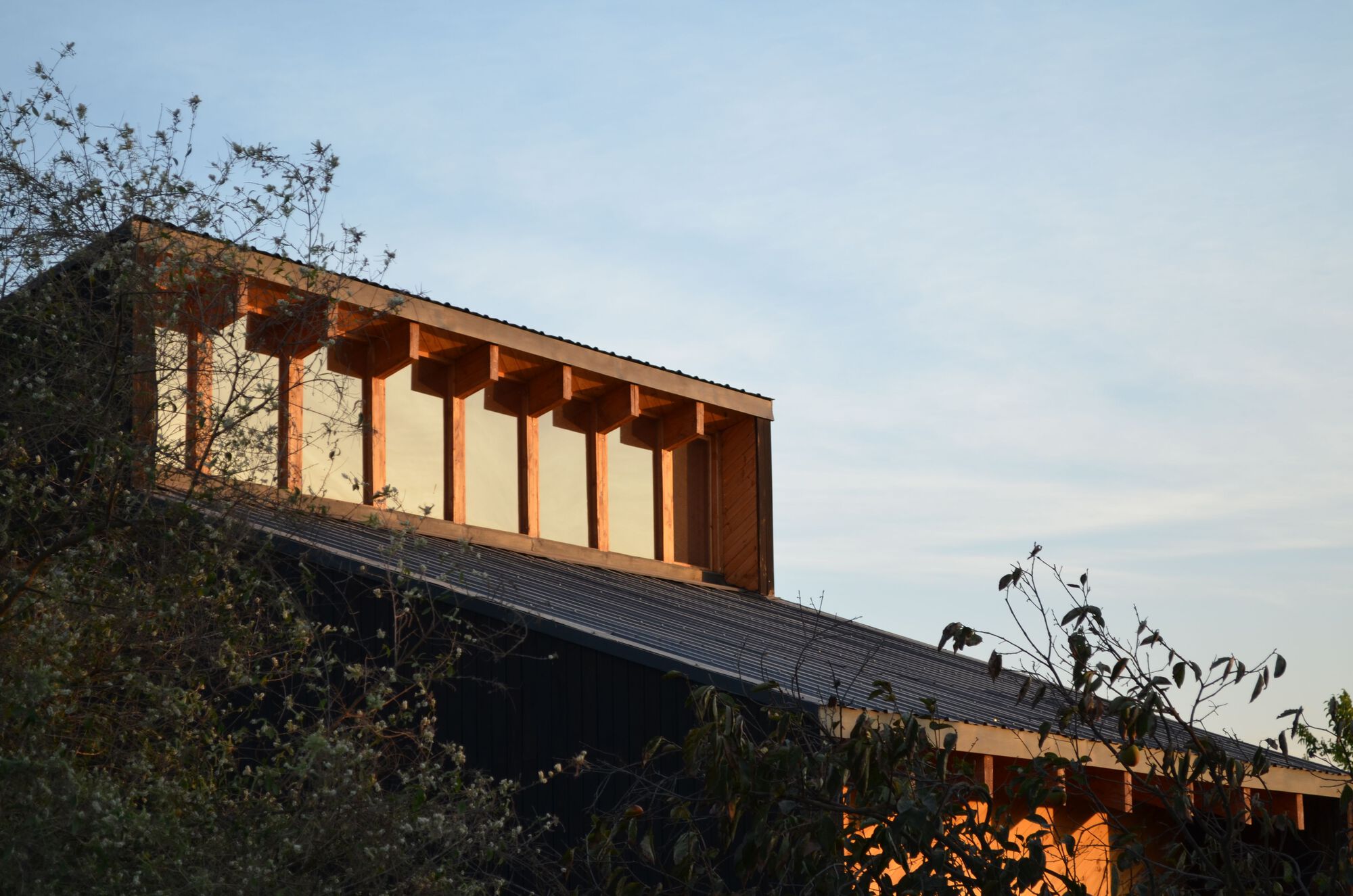 埃尔巴霍工作坊丨智利丨Valdivieso Arquitectos-10