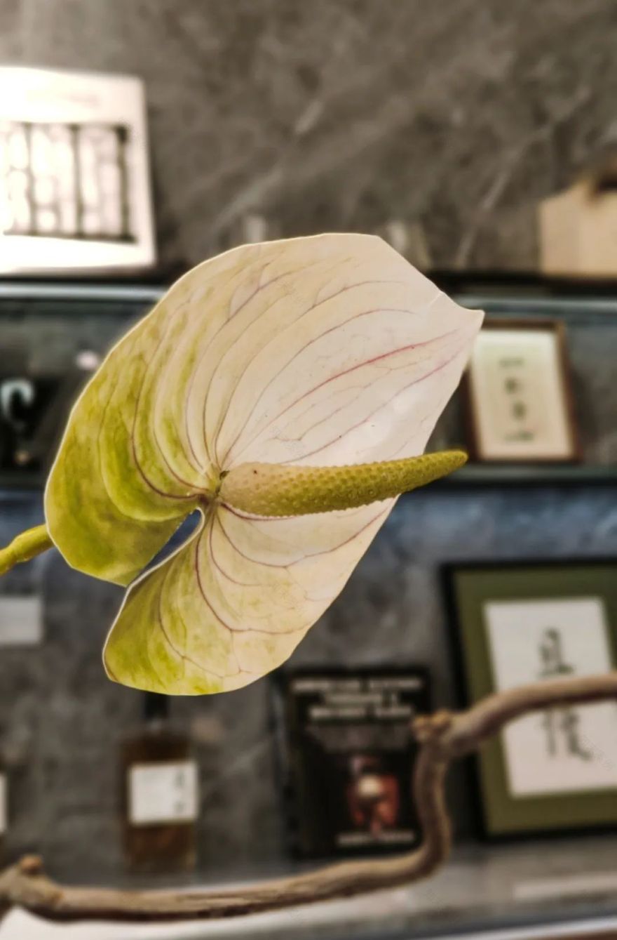 |DARRY·戴瑞软装 | 只此青绿,东方之美-13