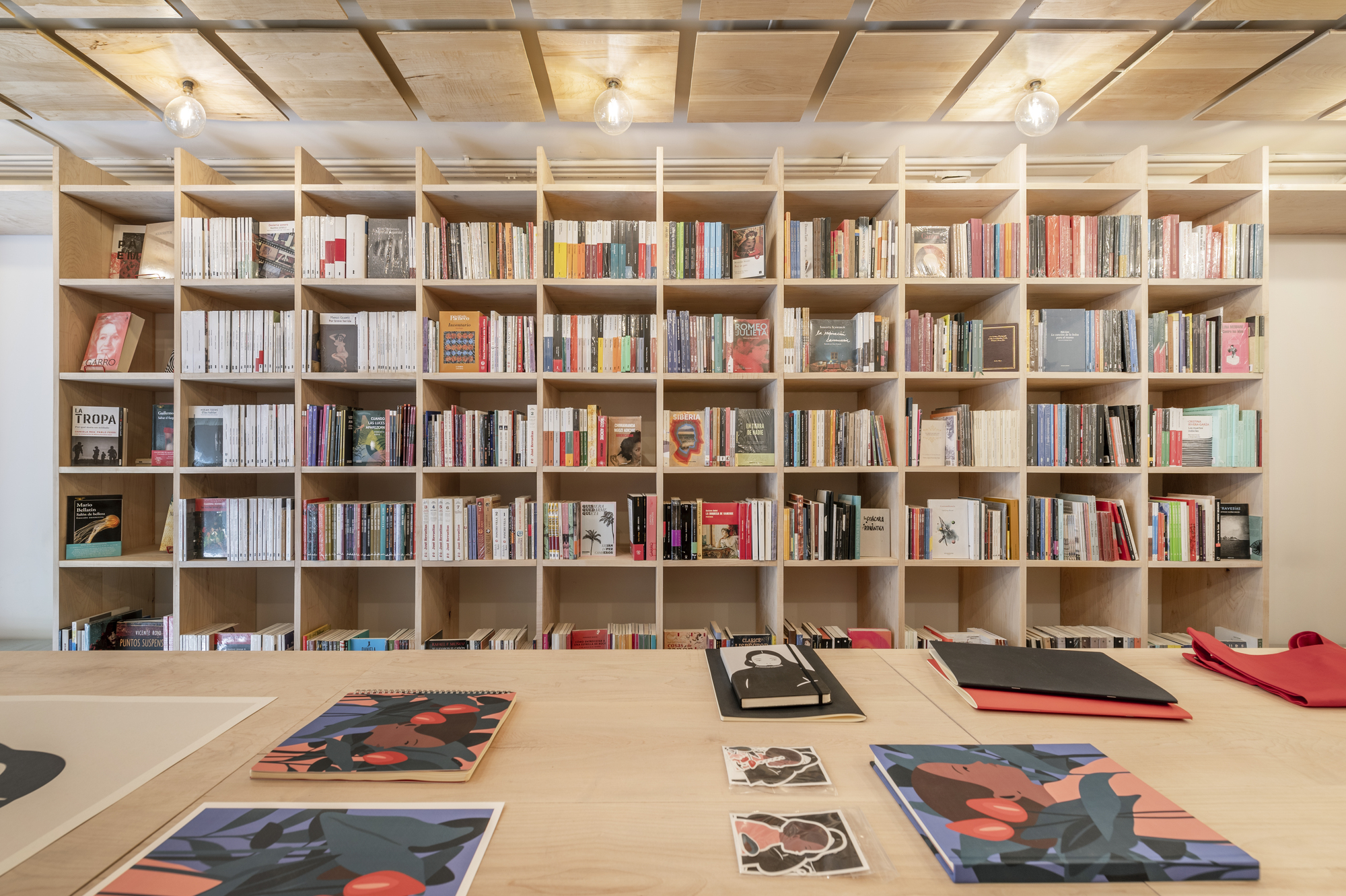 神奇图书馆丨墨西哥墨西哥城丨MS Estudio-16