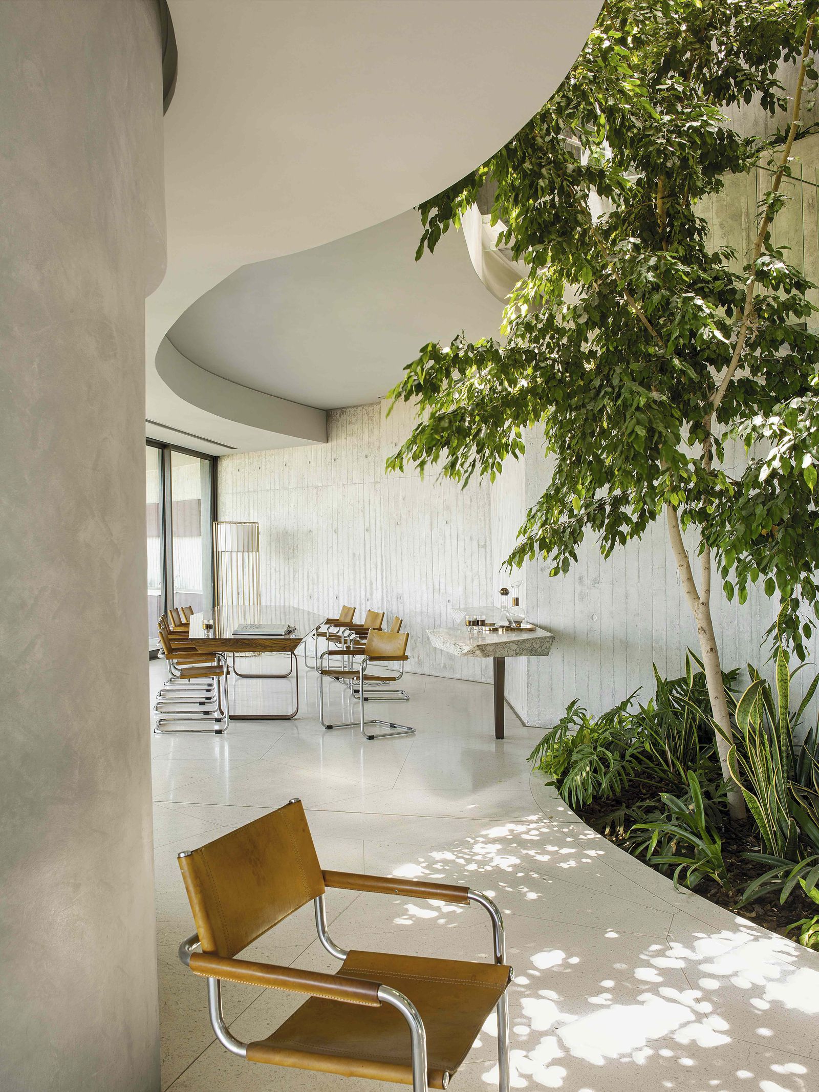 丨南非开普敦-23