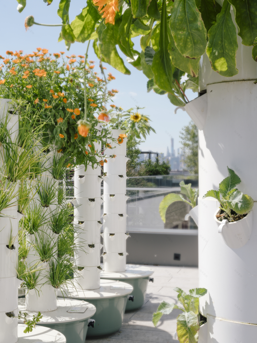 Denizen Bushwick / ODA New York-43