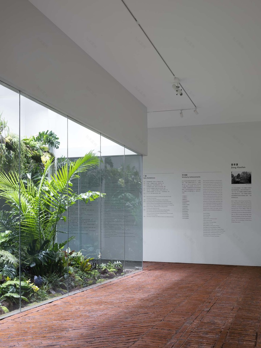 曾晓濂美术馆丨中国昆明丨Elepheno Architects-37