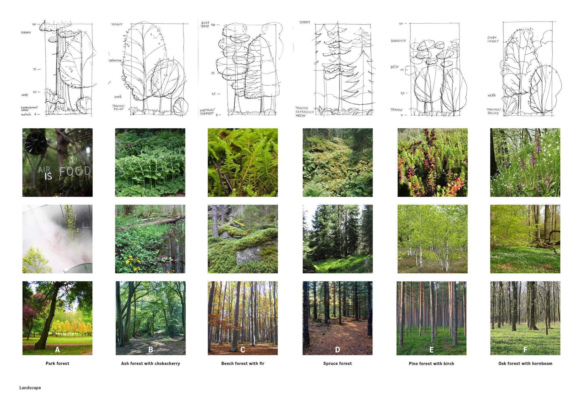 捷克森林管理局总部-25