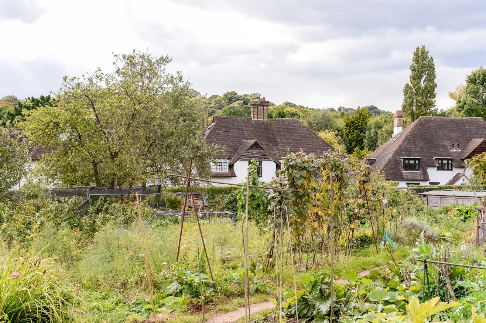 A Resident’s Guide to: Highgate | The Modern House-4