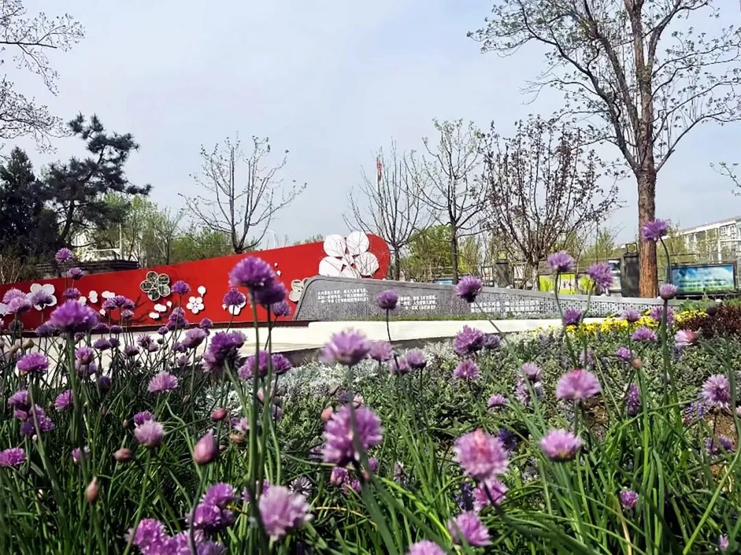 花开梨园·云景寻芳·2024年通州区花园式街区建设工程（设计）丨中国通州丨笛东规划设计(北京)股份有限公司-88