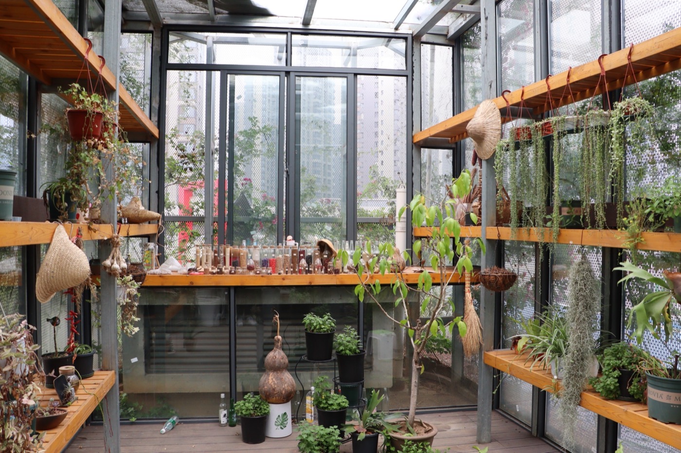 南京志远外语学校天空之园丨中国南京丨南京林业大学风景园林学院团队-17