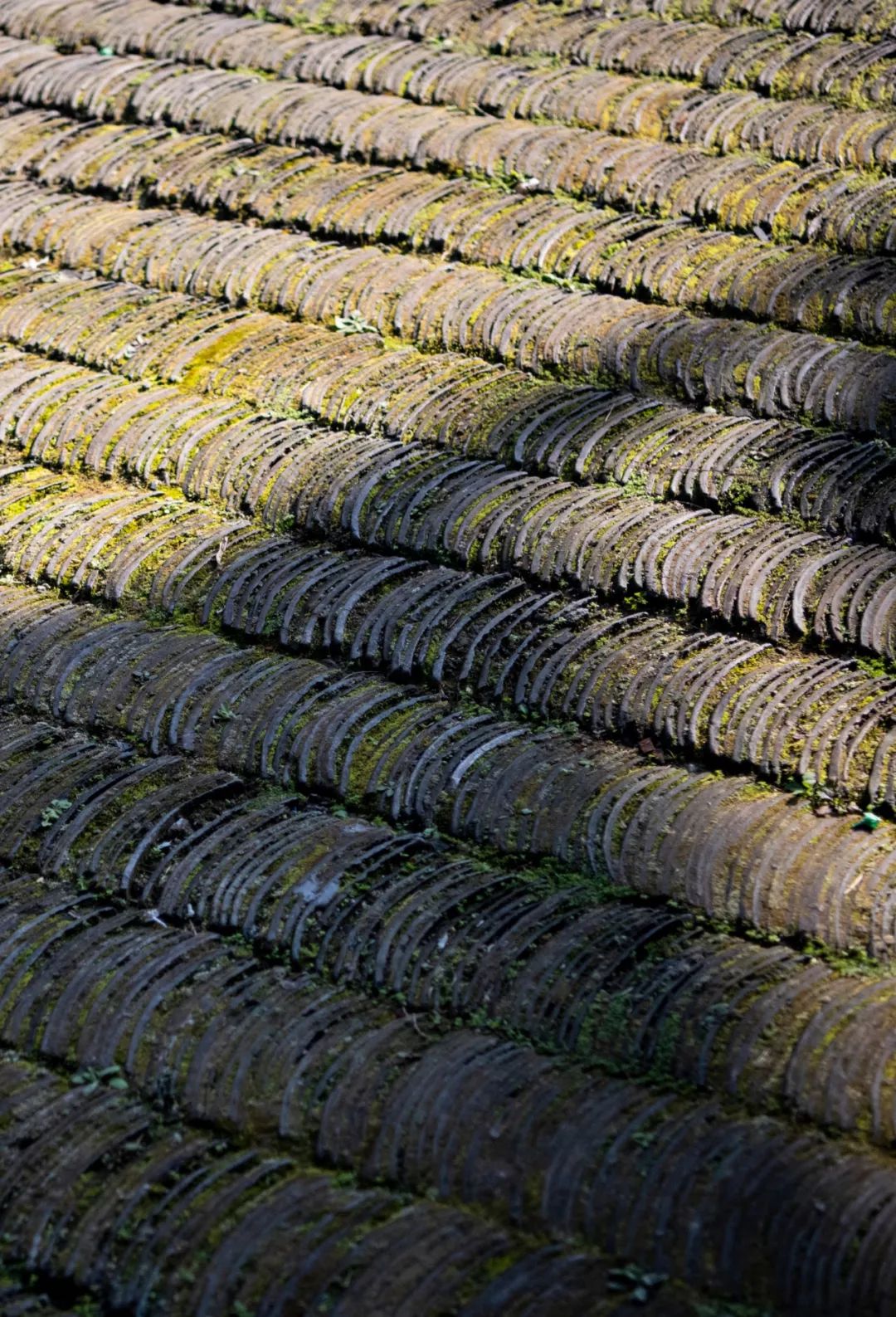 归隐深山，客家土楼变身为文化行馆-37