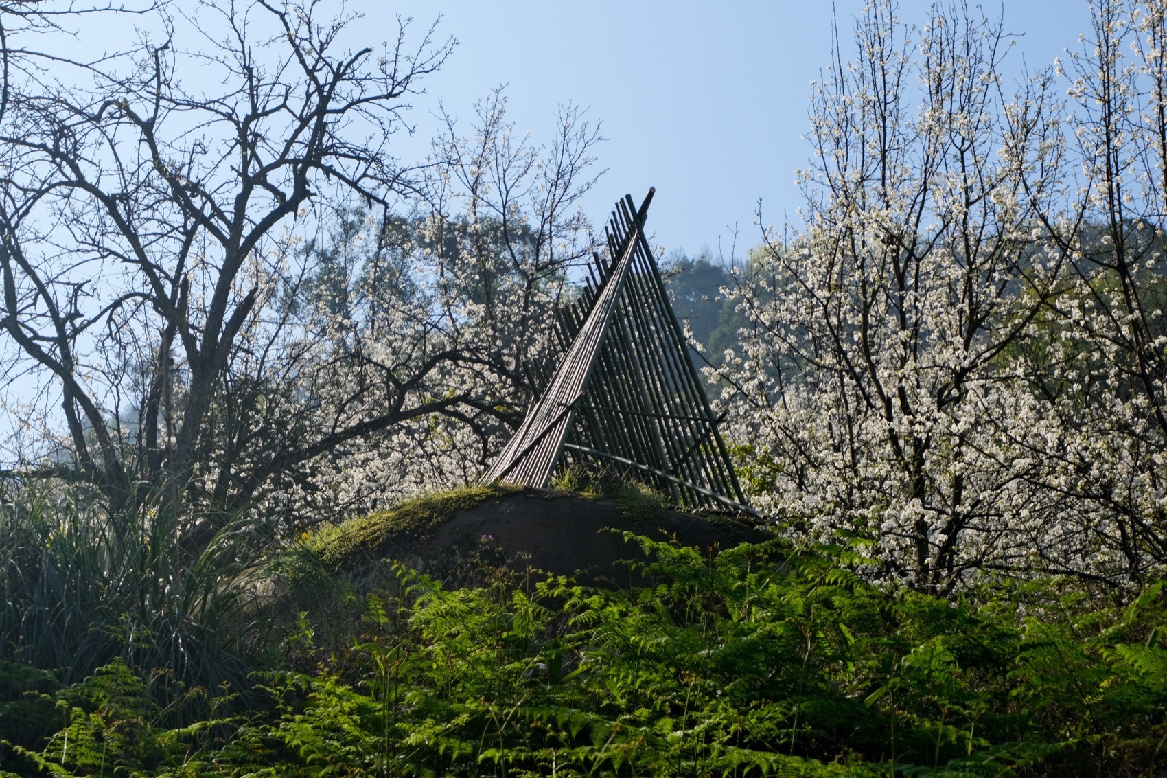 OFFICE真相专辑 NO.53 & 小隐建筑-392