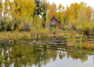 完美劳动节周末度假屋 | 7 个设计前卫的 Airbnb 推荐-18