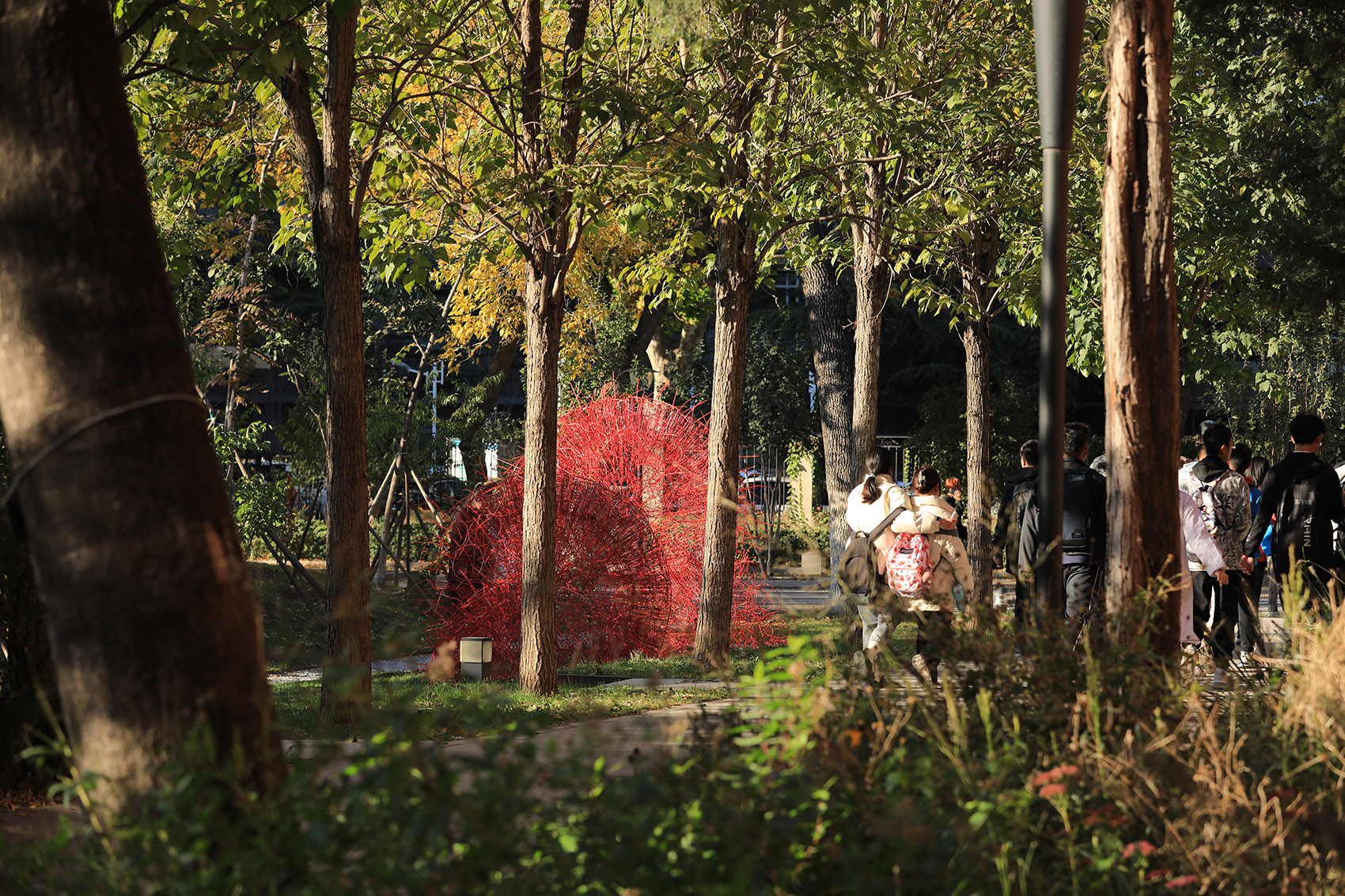 丹岩丨中国北京丨北京林业大学-27