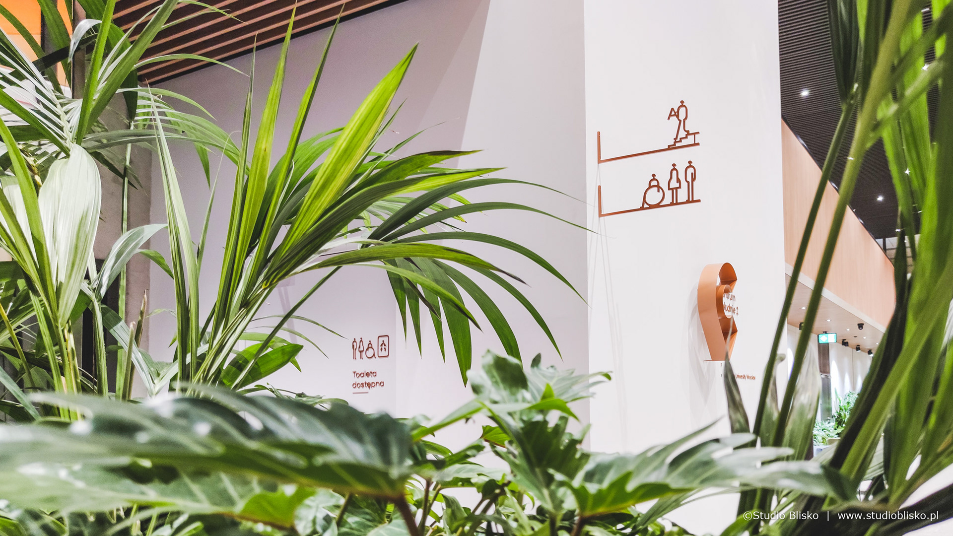 普鲁德尼中心-环境标识设计-5