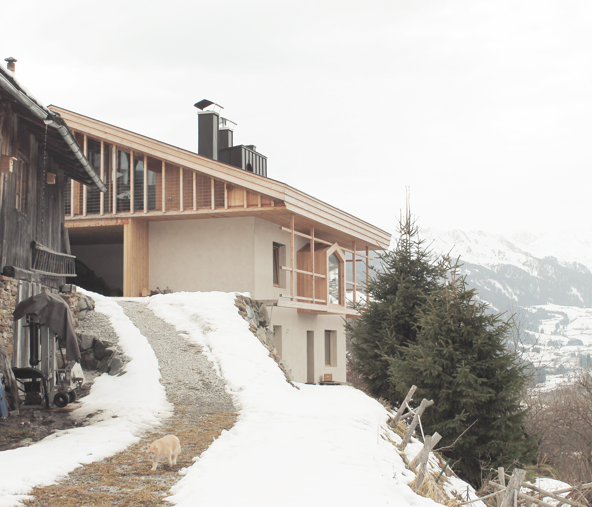 丨意大利丨Alpina Architects-22