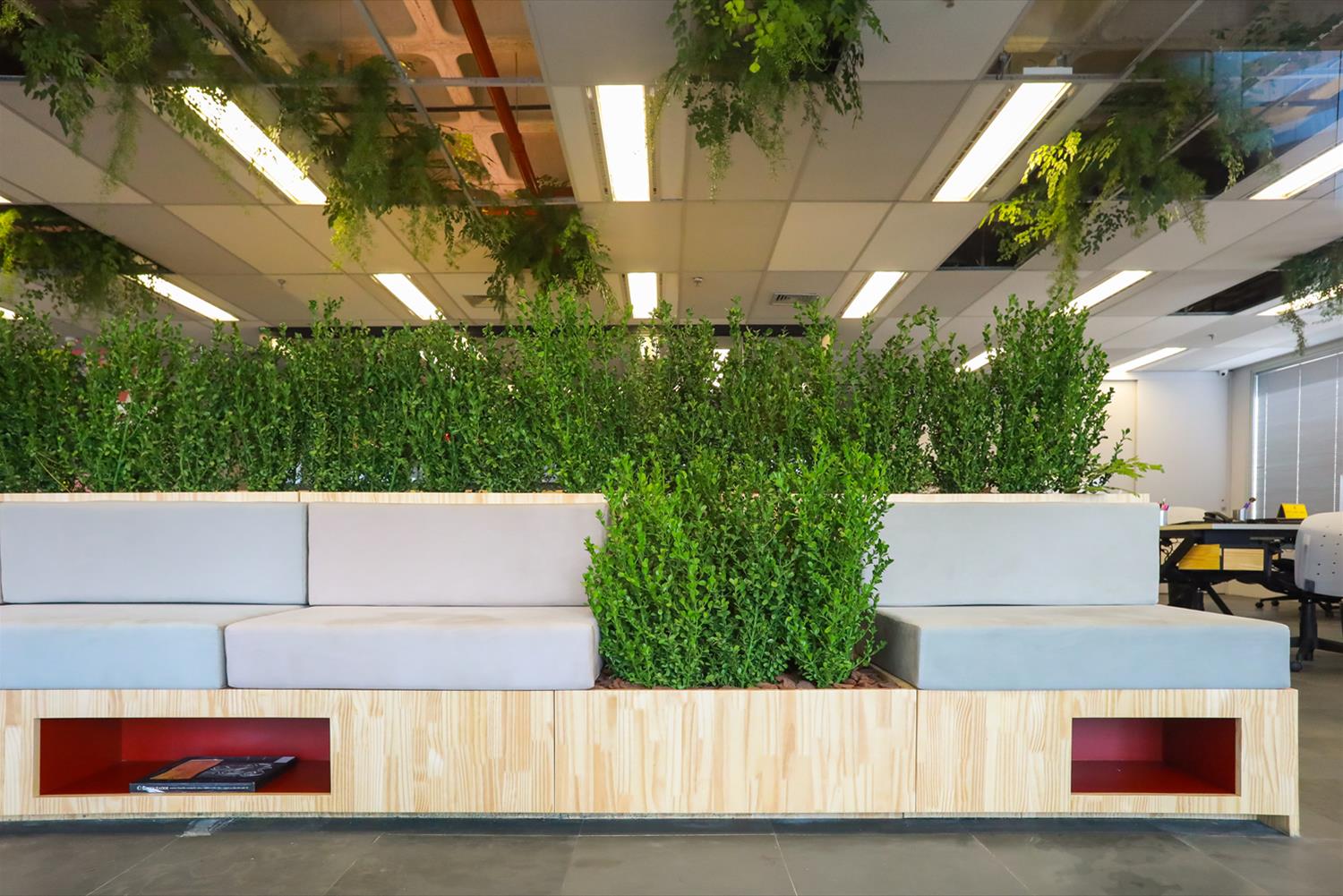 LVL 广告公司经济型办公空间设计-11