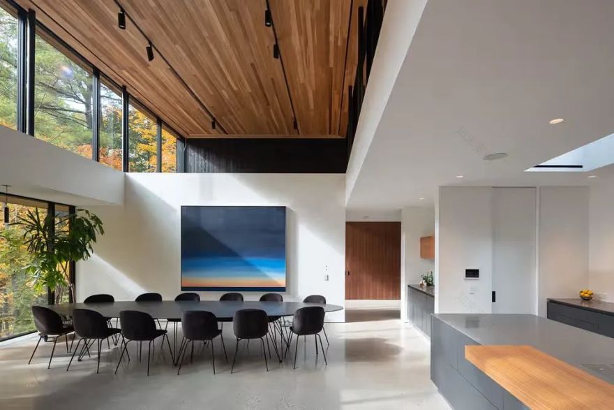 两个掩映在自然中的现代别墅-9