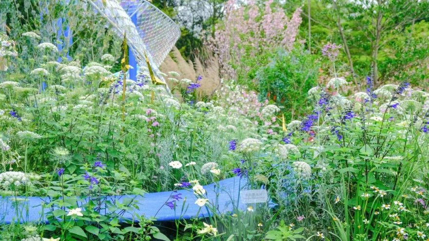 无界丨中国深圳丨林俊英景观工作室-26