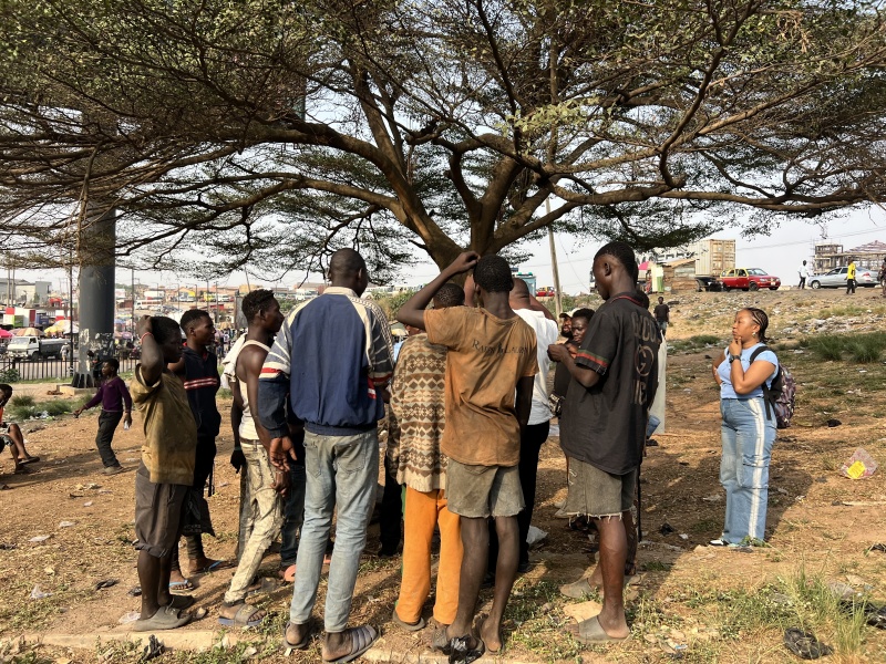 丨Niger丨Journeyman International-47