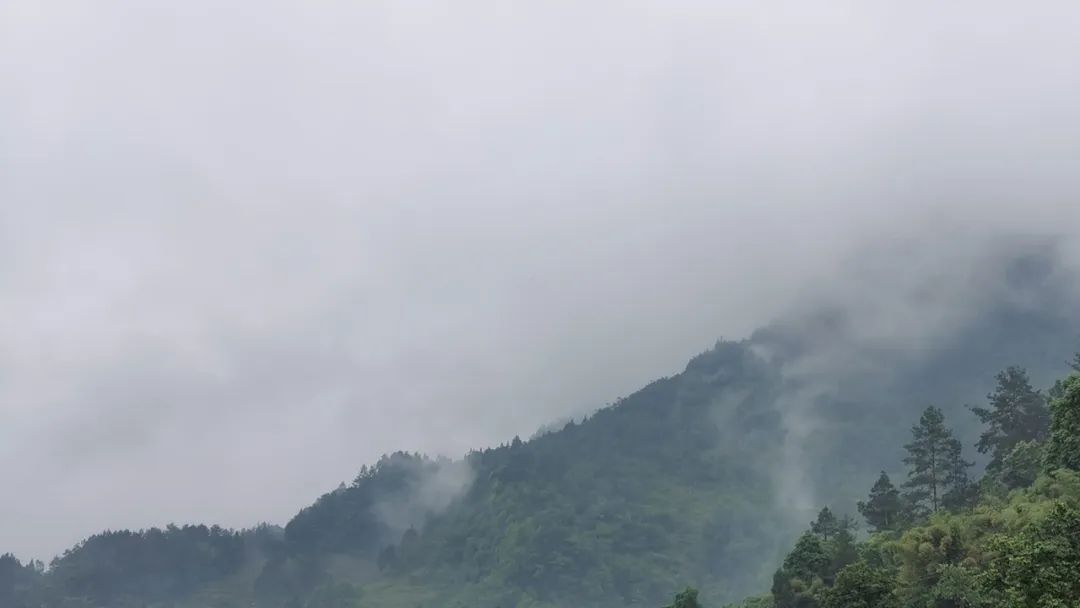 《青榭竹里》 | 即兴创作实践,重拾建筑温度-48