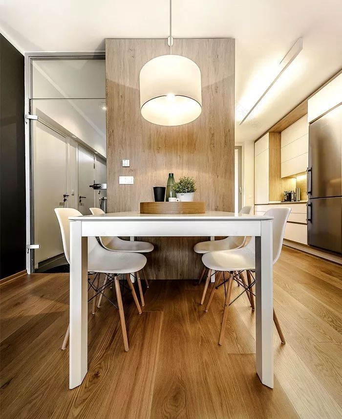 保加利亚现代住宅改造设计-8