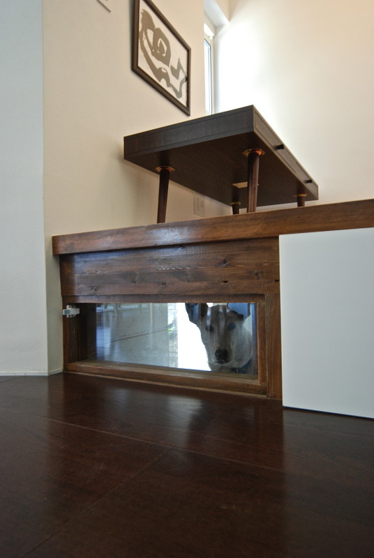 丨日本宫崎丨有限会社COGITE-19