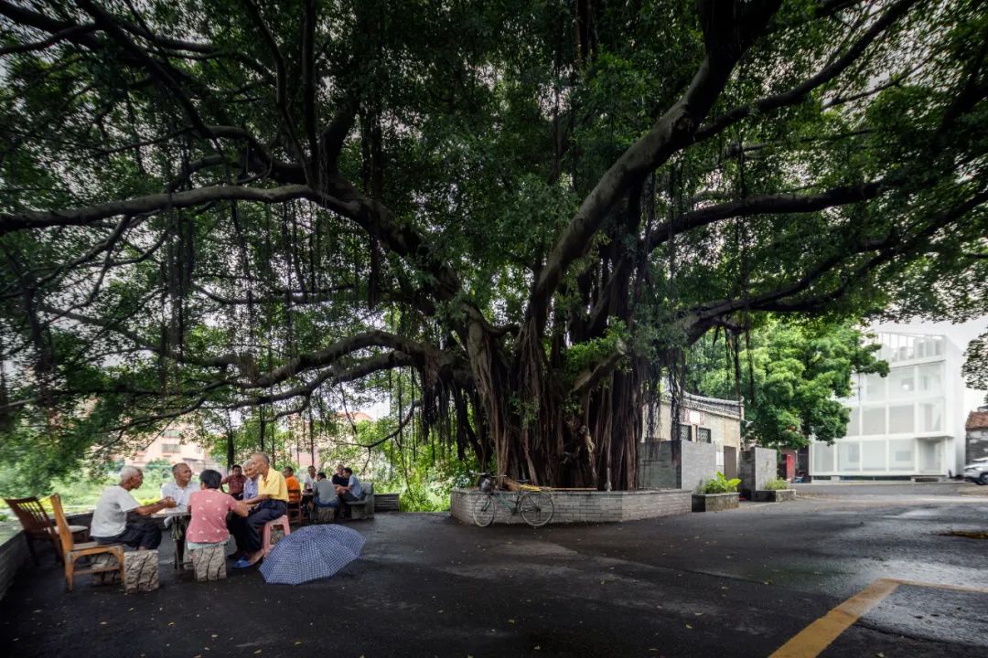 无墙之家 · 佛山 60 后爷爷的 360°全屋透明住宅丨中国佛山丨無名营造社-71