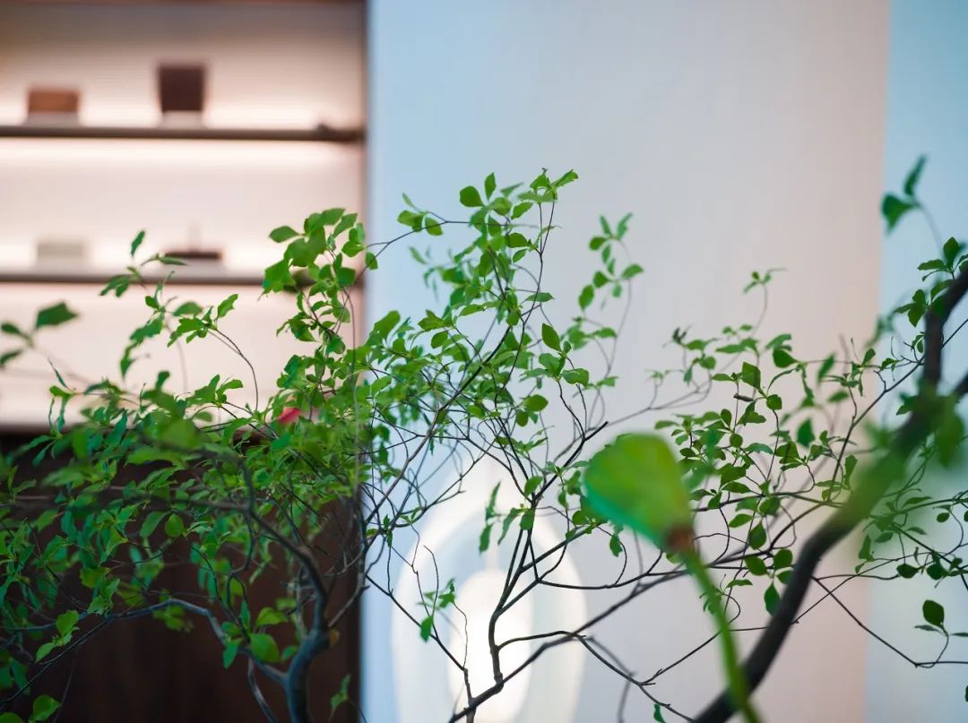 半木之家“伴夏集” | 唐七小姐的花植艺术装置-42