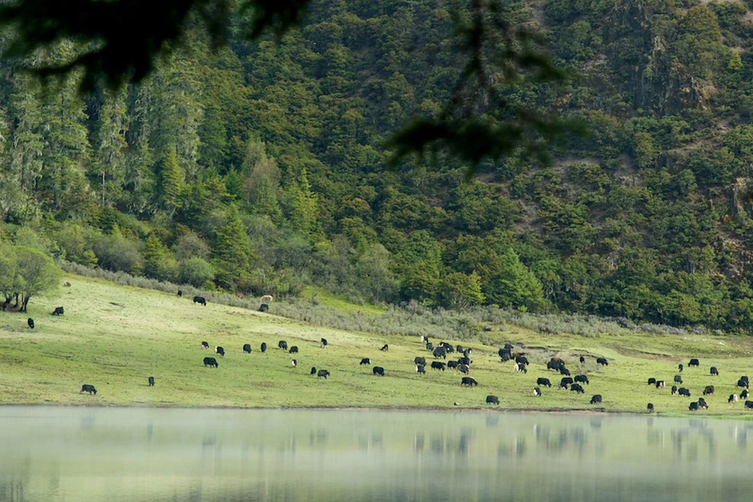 金地宝塔峯上府售楼处丨中国南宁丨MOD墨设设计-12