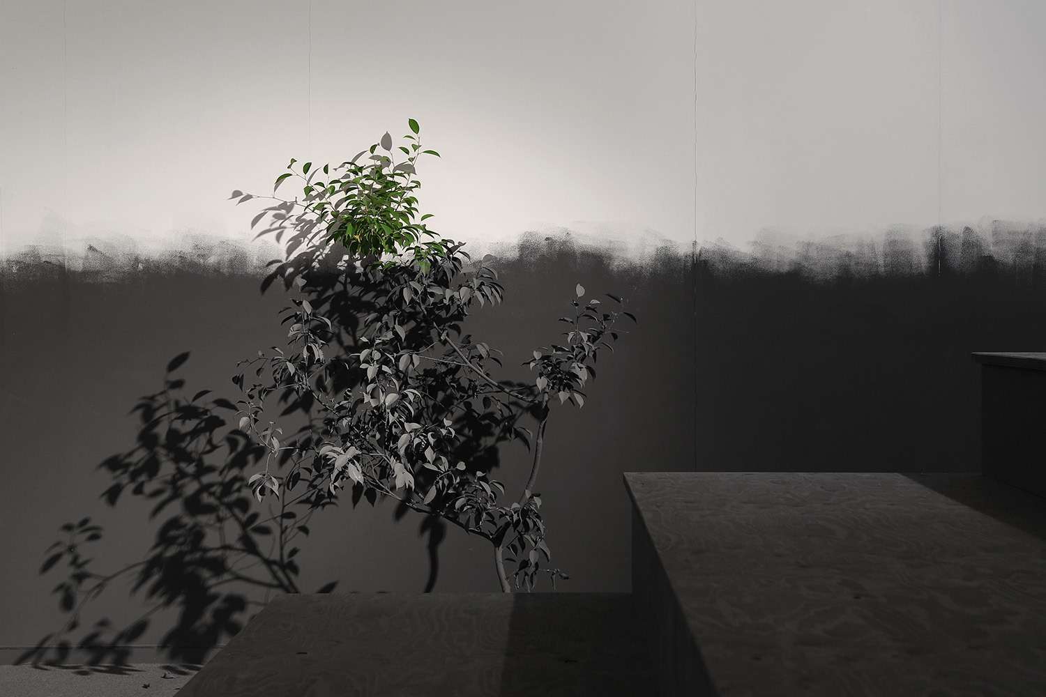 “Umarły Teatr”展览,日本京都 / JP architects-17