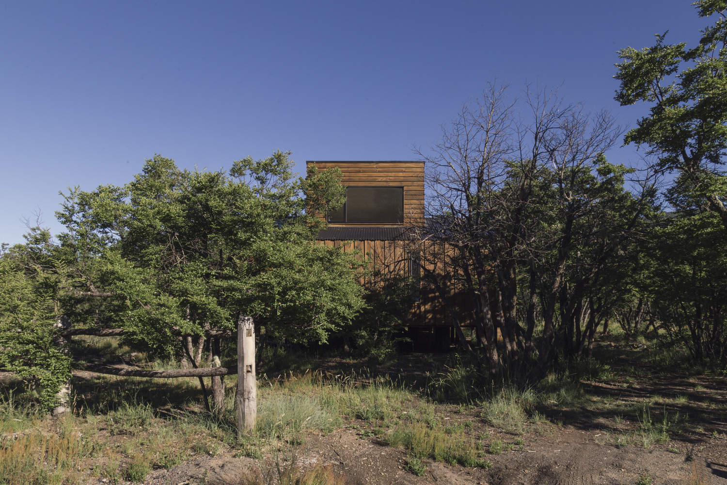 森林中的现代白色小屋-38