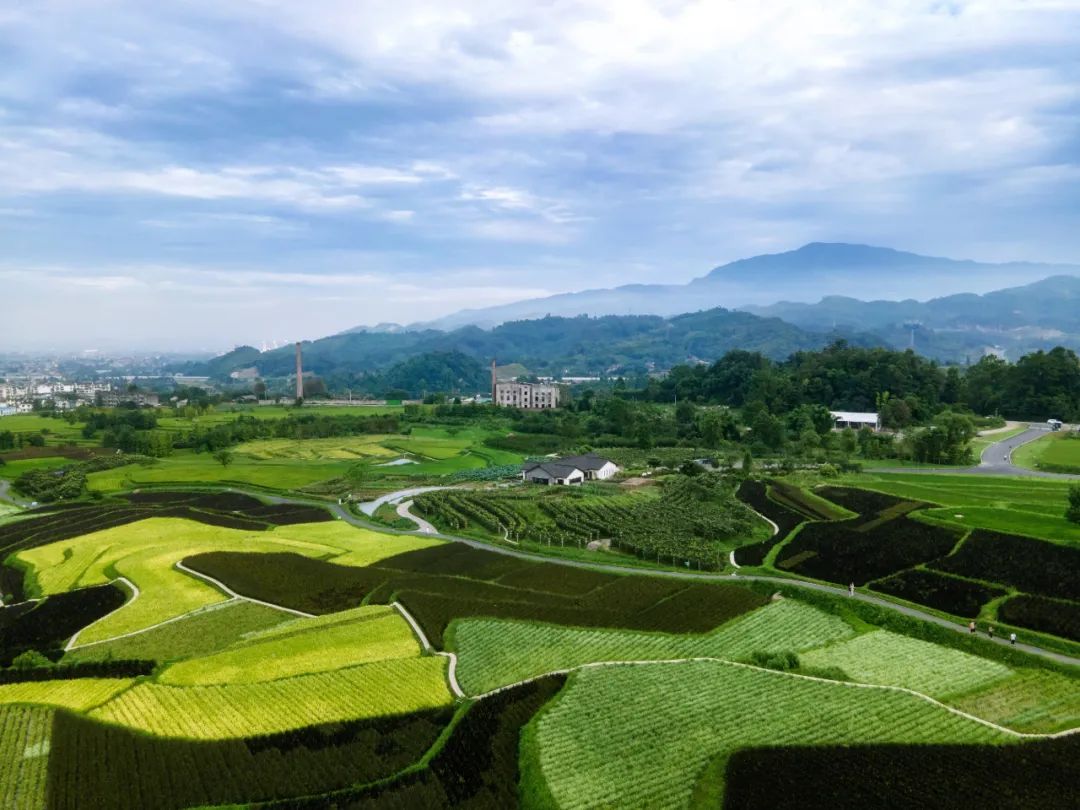 峨眉·高桥小镇丨中国眉山丨四川乐道景观设计有限公司-47