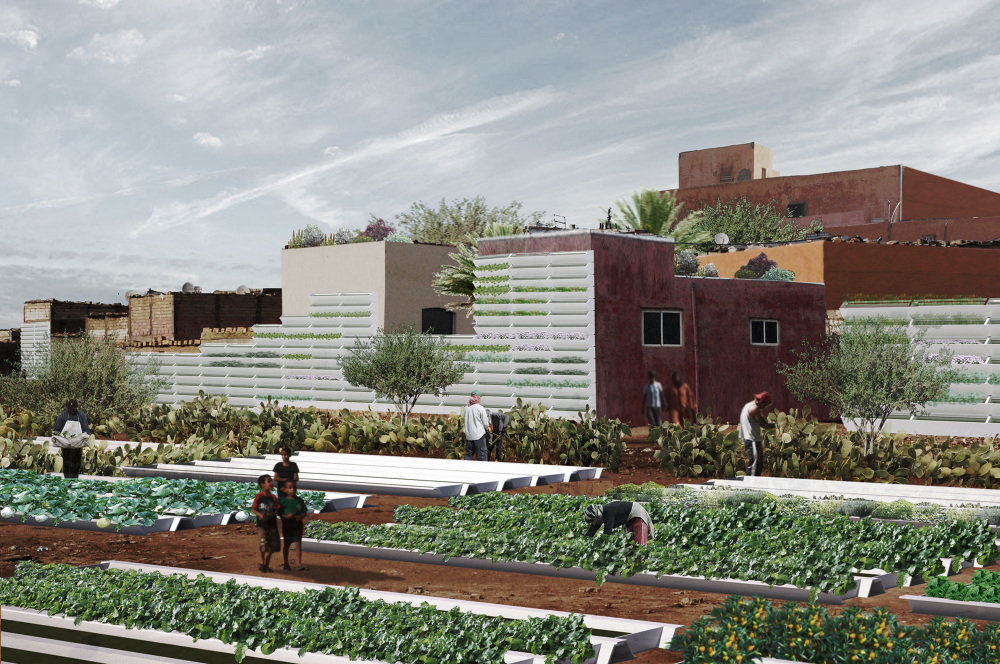 卡萨布兰卡都市农业丨摩洛哥卡萨布兰卡-4