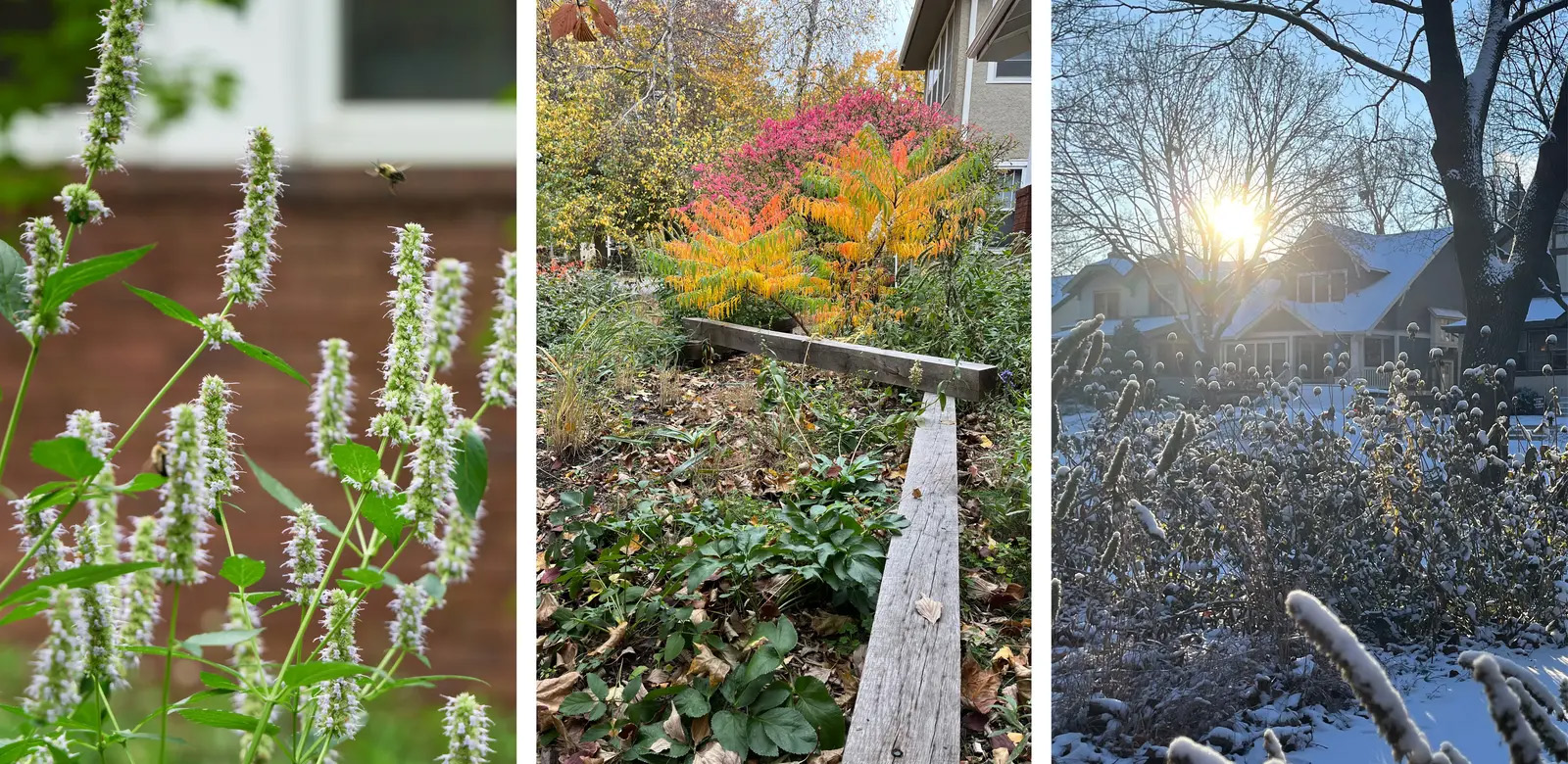 小项目（The Little Project）丨美国丨Ping Design LLC-37