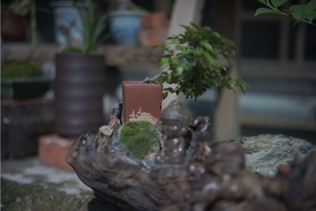 素居之韵 | 古意生活的审美追求与室内设计-7