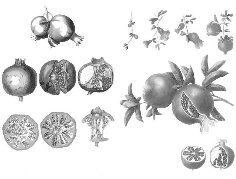 丨奥地利维也纳-23