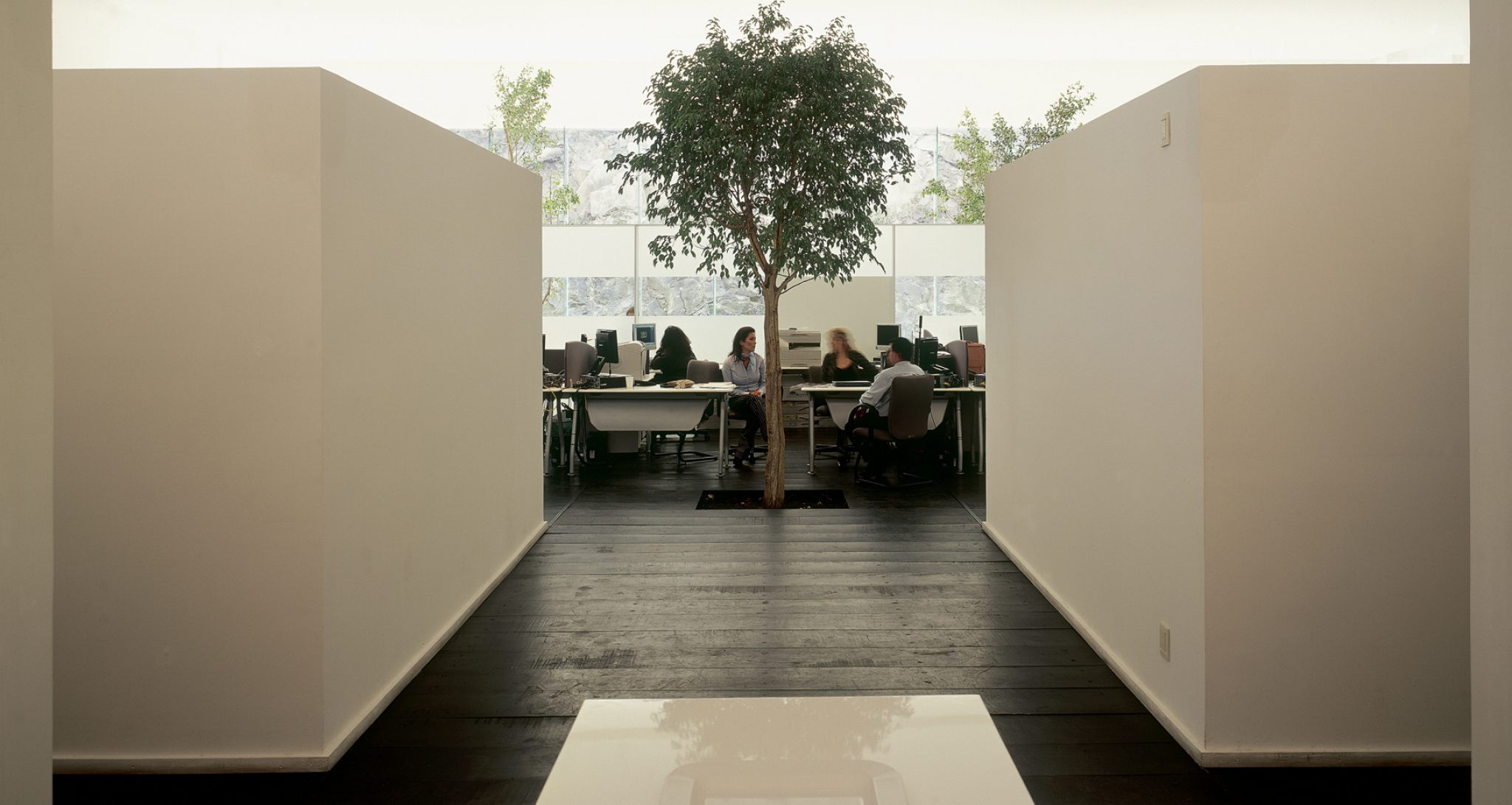 PEDREGAL Miguel AngelAragonés-7