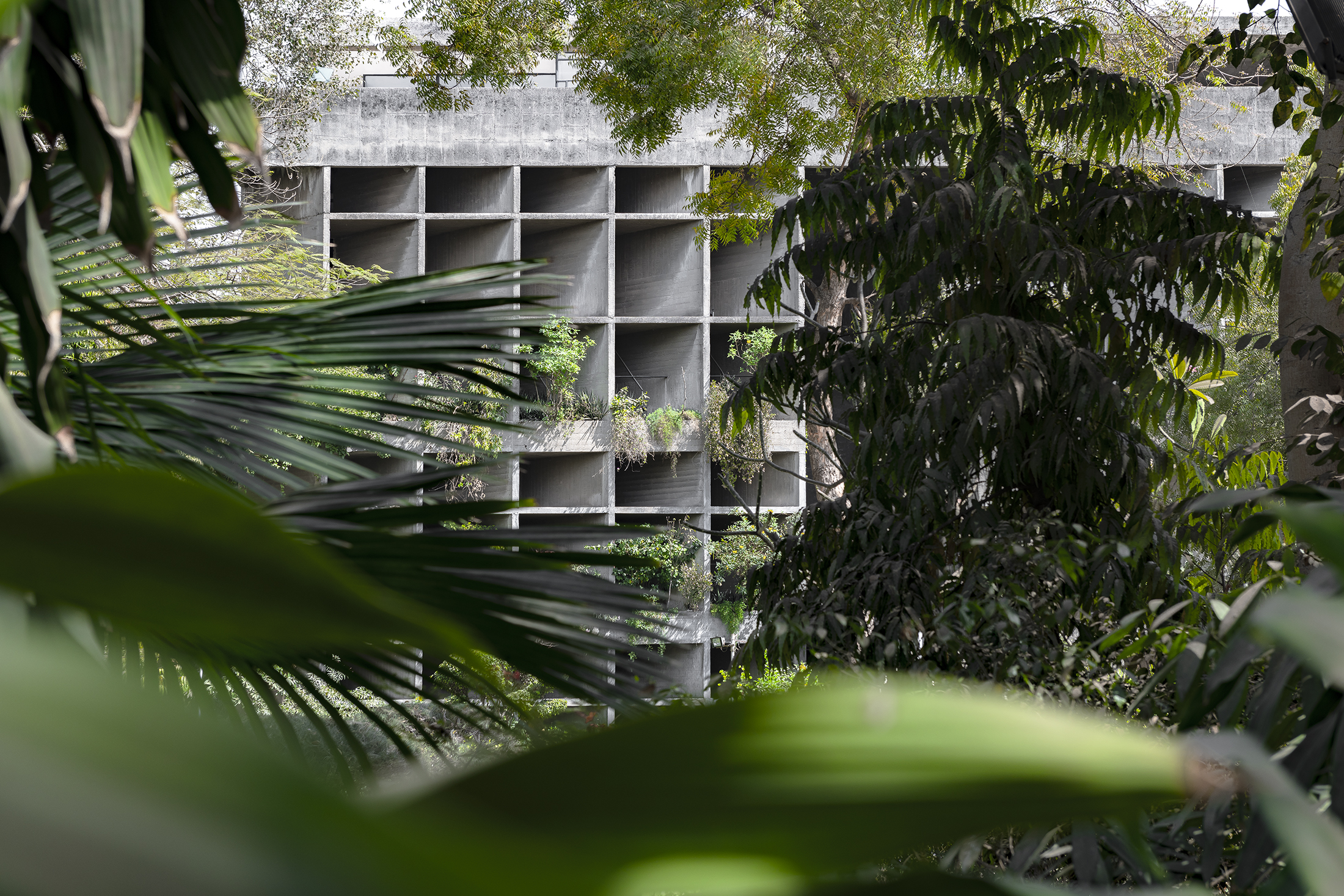 棉纺织协会大楼丨印度丨勒·柯布西耶-19