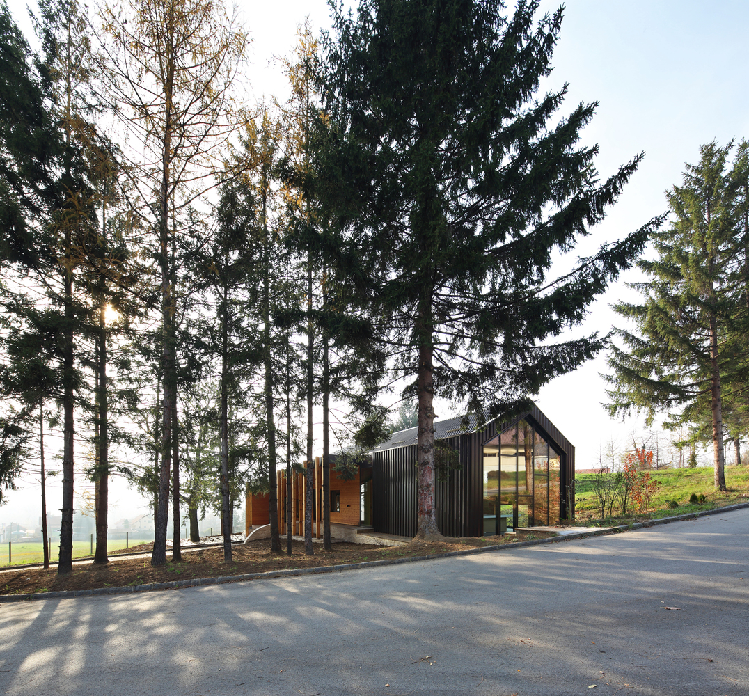 小宅大院，绿意盎然-7