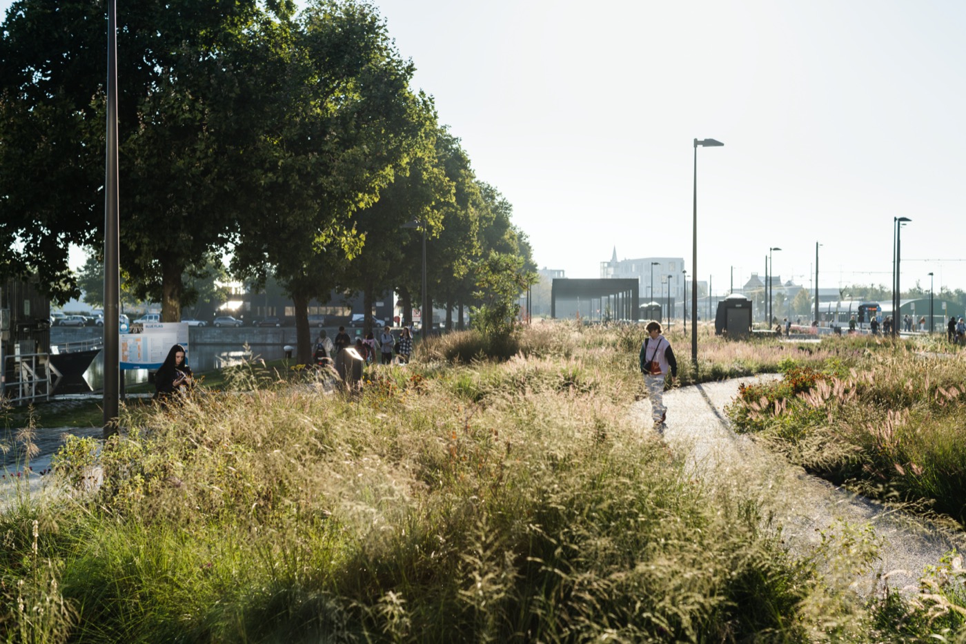 安特卫普医院公共空间设计丨比利时安特卫普丨不详-19