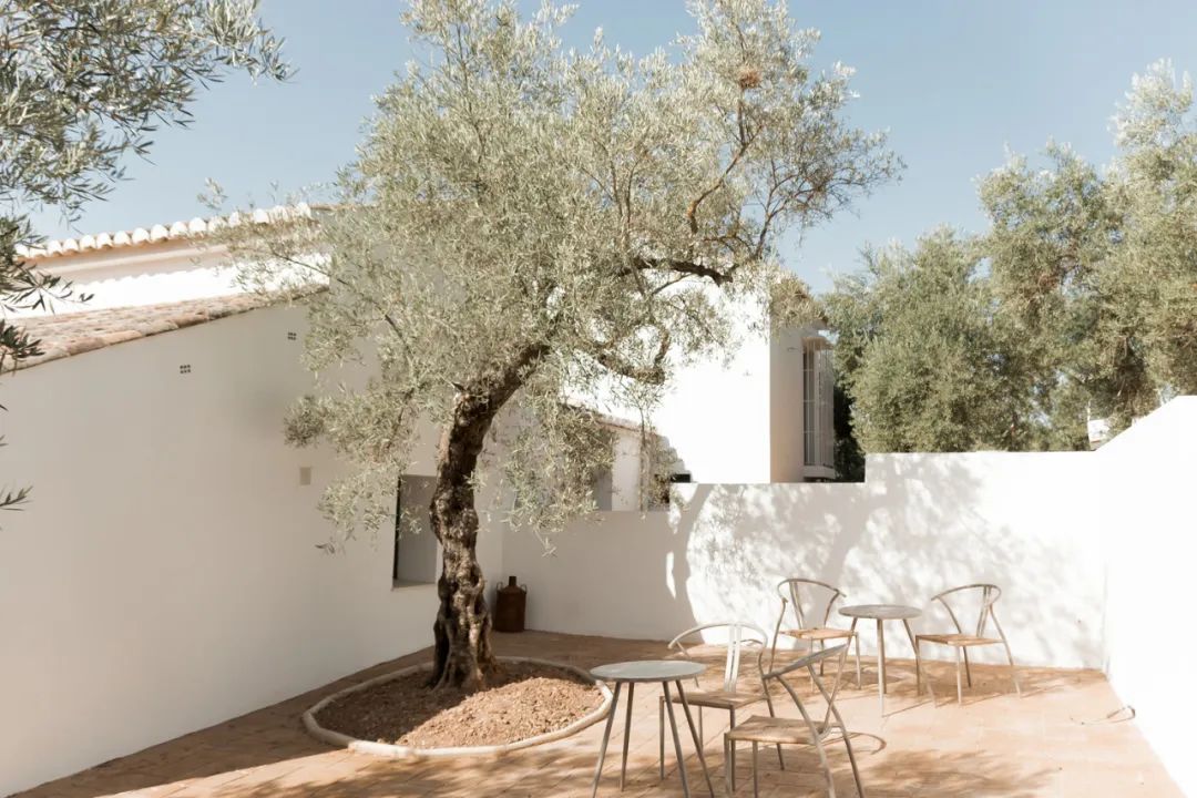 【设计鉴赏】乡村酒店的独特魅力——橄榄园乡村酒店-9