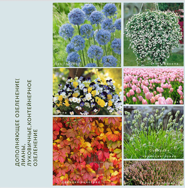 寺庙公共区域设计项目-10