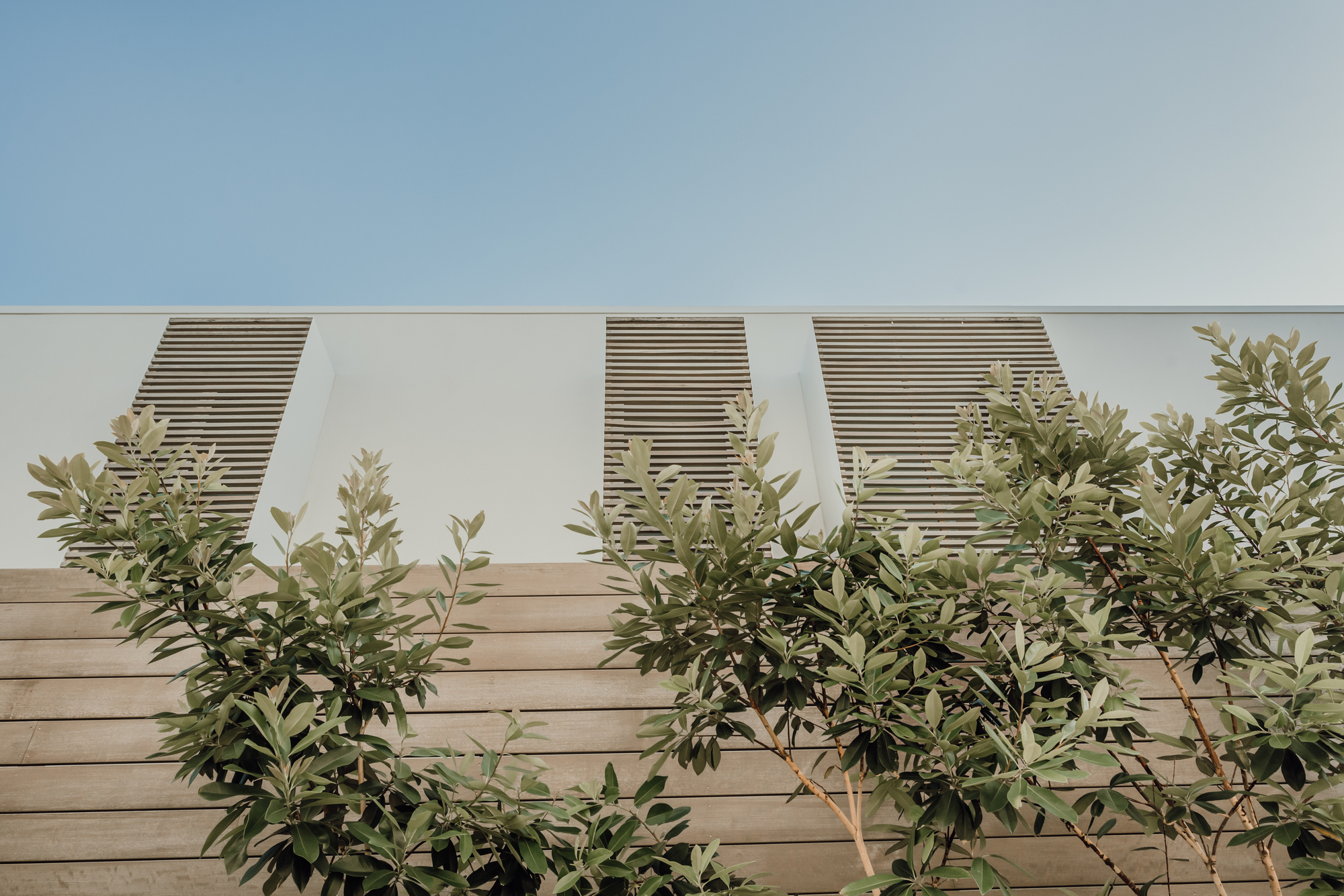 阳光沙滩屋丨澳大利亚丨Sealand Architects-22