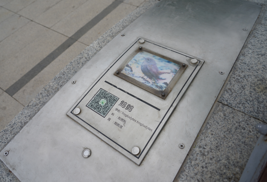 郑州象湖生态文化公园丨中国郑州丨北林地景-23