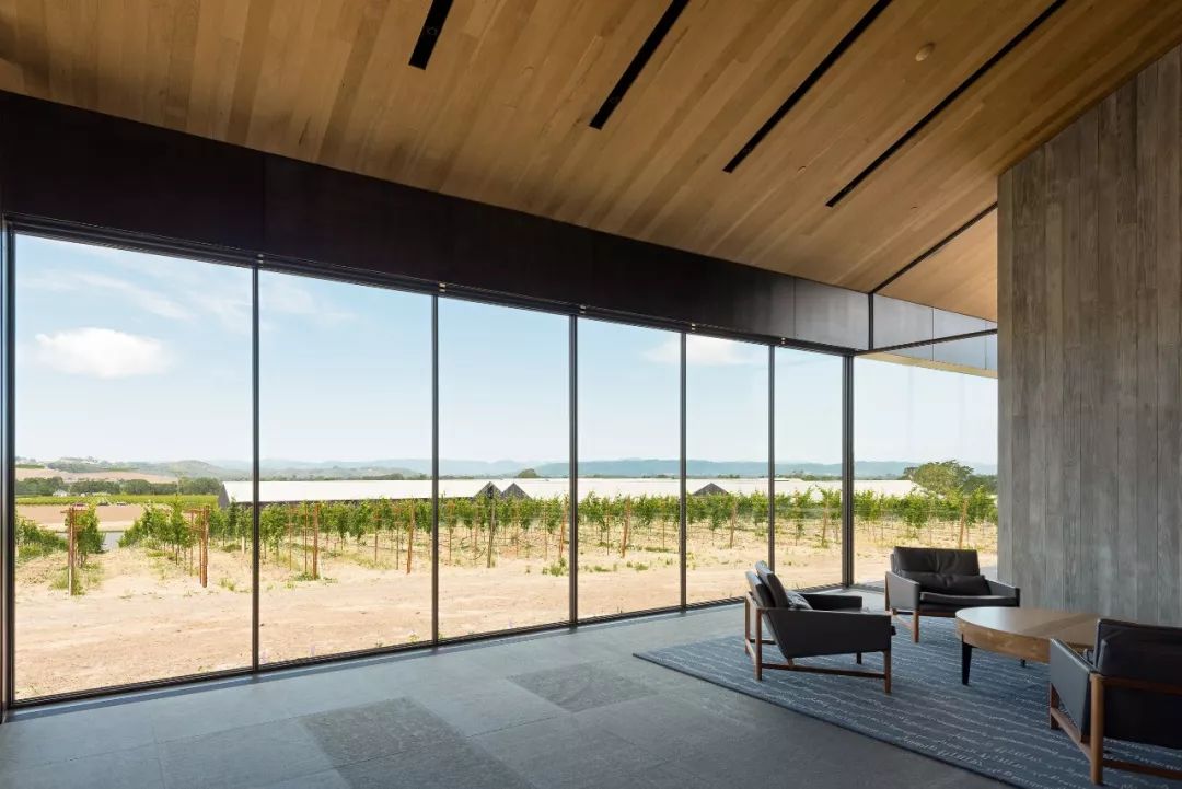 融合自然的当代美学 | 丹尼尔·皮乔塔设计案例解读-40