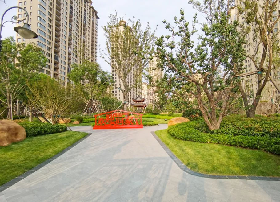 青岛星河湾·朗园丨中国青岛丨广东东篱环境股份有限公司-11