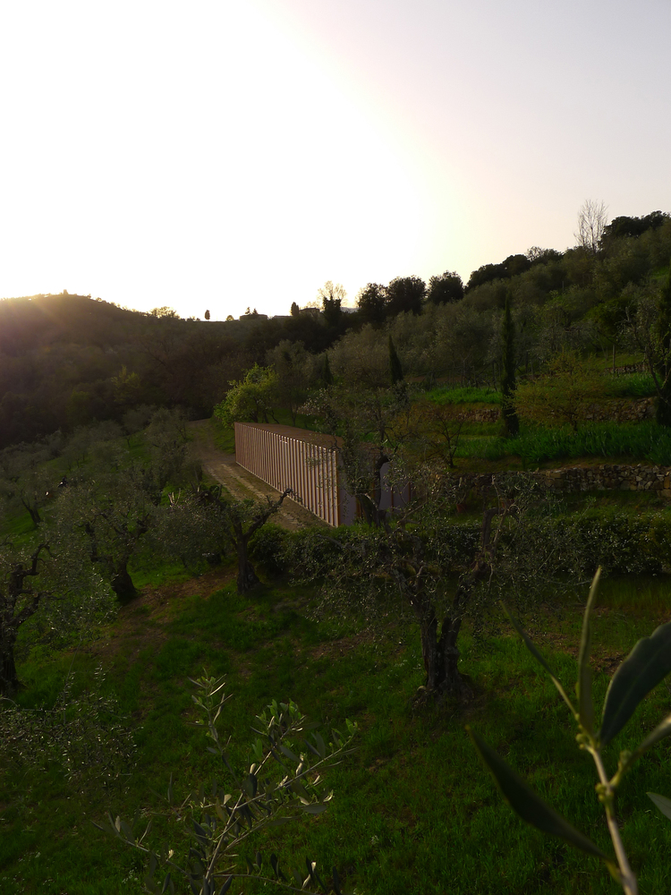 M Greenhouse  Lapo Ruffi Architetti  LRA-37