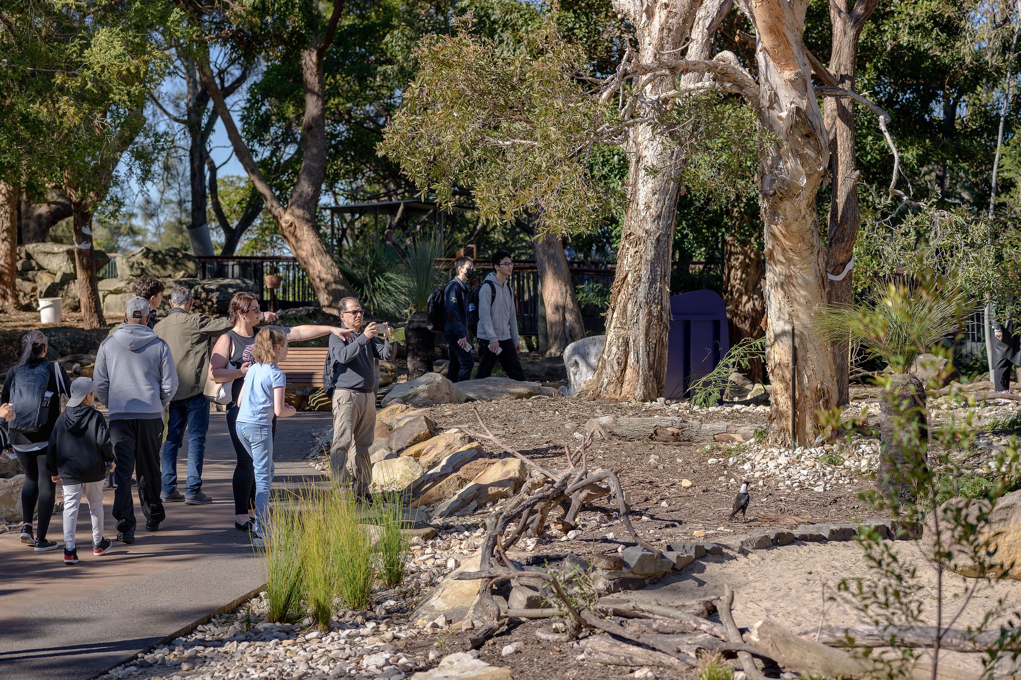 丨澳大利亚新南威尔士丨Lahz Nimmo Architects-17