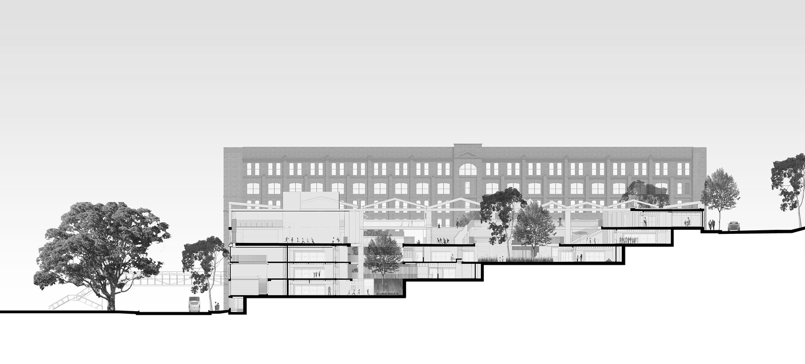 悉尼 Ultimo 公立学校丨澳大利亚悉尼-47